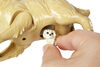 Barbie Newborn Puppy Playset