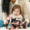 Baby Einstein Infinity Block High Contrast Toy