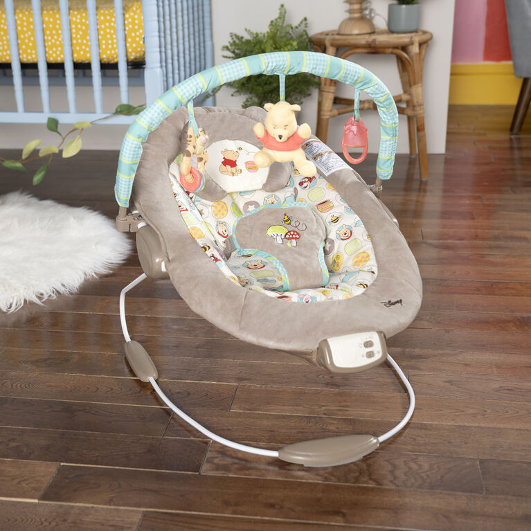 Bright Starts Disney Baby WINNIE THE POOH Dots & Hunny Pots Bouncer