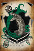 Harry Potter Collector Tin Book Puzzle - Slytherin -300pc