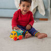 Fisher-Price Poppity Pop Dump Truck Push-Along Toy Ball Popper Vehicle