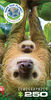 Sloths 250 Piece Puzzle