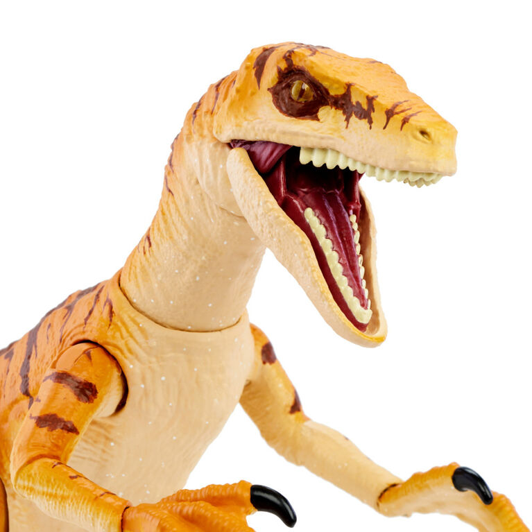 Jurassic World Amber Collection Velociraptor