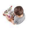 Bright Starts™ Bobble and Chime Puppy™