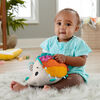 Fisher-Price Cuddle n' Snuggle Hedgehog