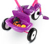 smarTrike Paw Patrol 2 in 1 Folding Fun Trike - Skye