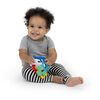 Baby Einstein Ocean Explorer - Sea of Sensory Teether Toy