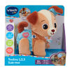 VTech Baby Explore & Move With Puppy - French Edition