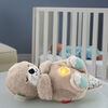 Fisher-Price Soothe 'n Snuggle Otter