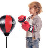 Go! Zone Floor Boxing Set