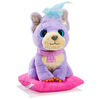 Scruff A Luv'' Cutie Cuts Purple