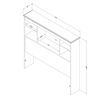 Navali Twin Bookcase Headbrd SeasidePine