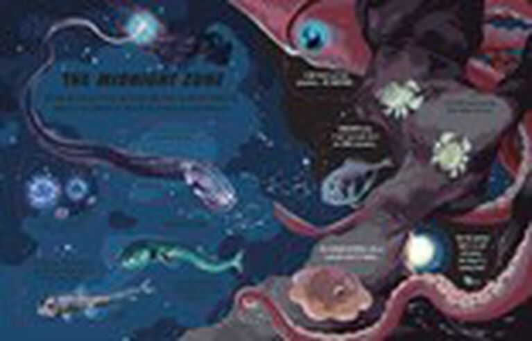 See Inside: The Deep - Édition anglaise