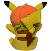 Pokémon 8 inch Seasonal Plush - Pikachu Pumpkin Hat - R Exclusive
