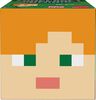 Minecraft - Mini Têtes - Alex