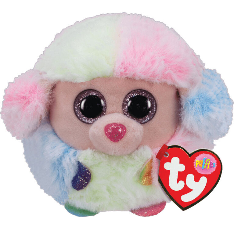 RAINBOW - caniche typuf