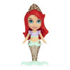 Disney Princess Ariel (Mermaid)