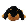 Goffa - Rottweiler