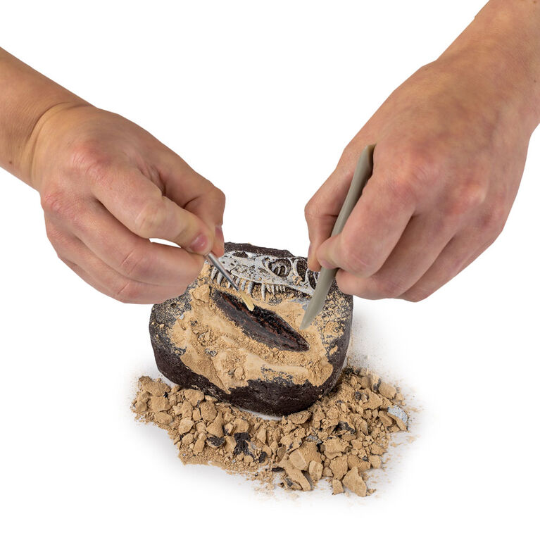National Geographic - Trousse d'excavation de fossiles de dinosaures