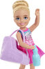 Barbie Chelsea Can Be Playset with Blonde Chelsea Ice Skater Doll and Accessories