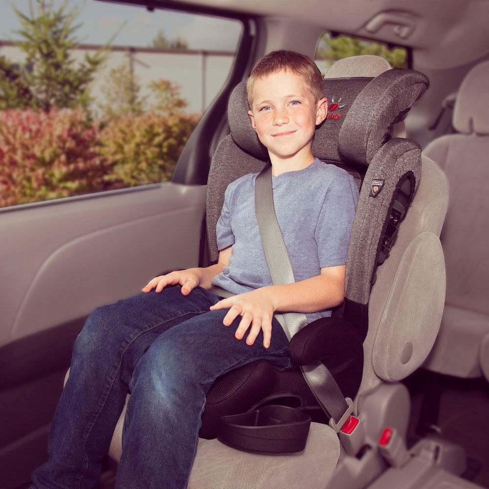 Diono Monterey XT high back booster seat Heather