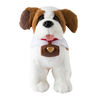 Elf Pets St Bernard - English Edition