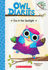 Owl Diaries #13: Eva in the Spotlight - English Edition