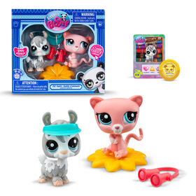 Littlest Pet Shop Pet Pairs 2-Pack Cache-Cache