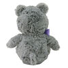 2022 Collectible Starlight Bear - Animal Adventure - The Sunshine Bear - Grey - 12" Plush