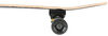 36" Cruiser Hang Ten Skateboard