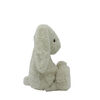 Animal Adventure Little Bunn