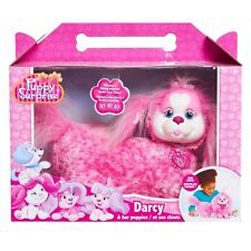 Puppy deals surprise darcy