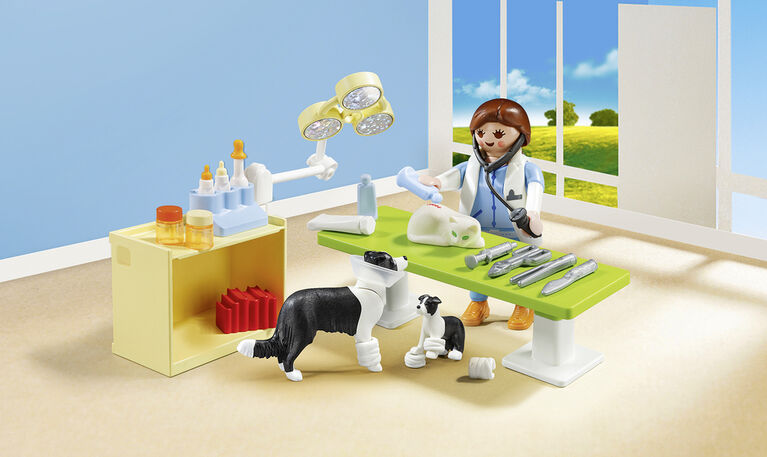 Playmobil - Vet Visit Carry Case