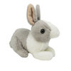 ALEX - Lapin 7"