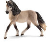 Horse Club - Andalusian Mare