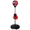 Go! Zone Floor Boxing Set