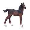 ALEX - Hanoverian Poulain Baie - Medium