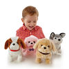 Pitter Patter Pets - Playful Puppy Pal Grey and White Husky - R Exclusive - English Edition
