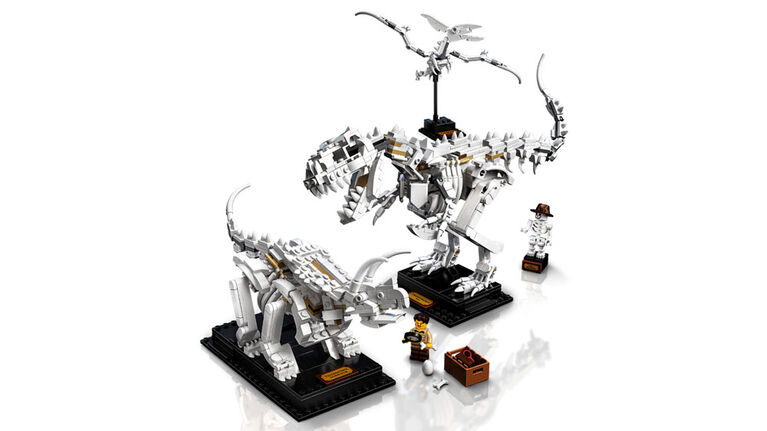 LEGO Ideas Les fossiles de dinosaures 21320 (910 pièces)