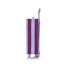 Frozen Standard Softside Luggage