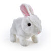 Pitter Patter Pets - Coffret Teeny Weeny Bunny White - Notre exclusivité - Édition anglaise