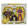 Hasbro Marvel X-Men Series 6-inch Collectible Storm and Marvel's Thunderbird Action Figure Toys - R Exclusive