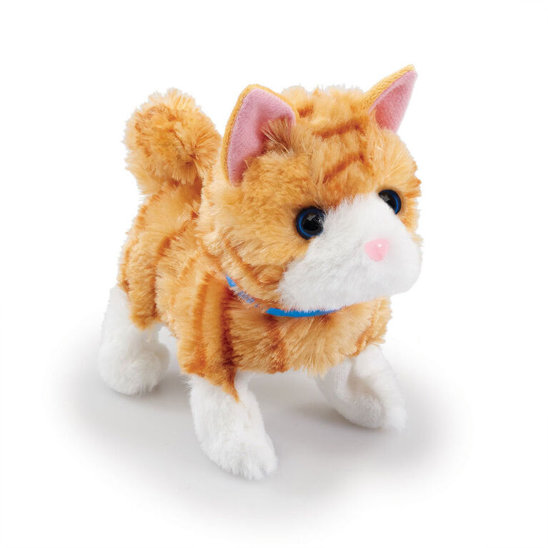 Pitter Patter Pets Pretty Little Kitty - Assortment May Vary, One per purchase - R Exclusive