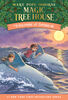 Dolphins at Daybreak - English Edition
