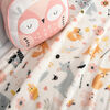 Owl Plush Throw and Pillow Set