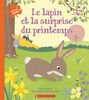Au fil des saisons : Le lapin et la surprise du printemps - French Edition