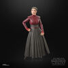 Star Wars The Black Series Morgan Elsbeth, Star Wars: Ahsoka 6-Inch Action Figures