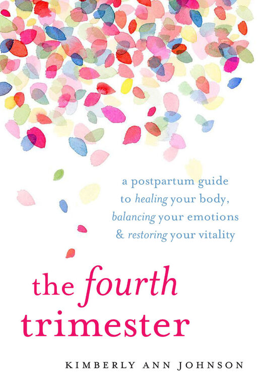 The Fourth Trimester - English Edition