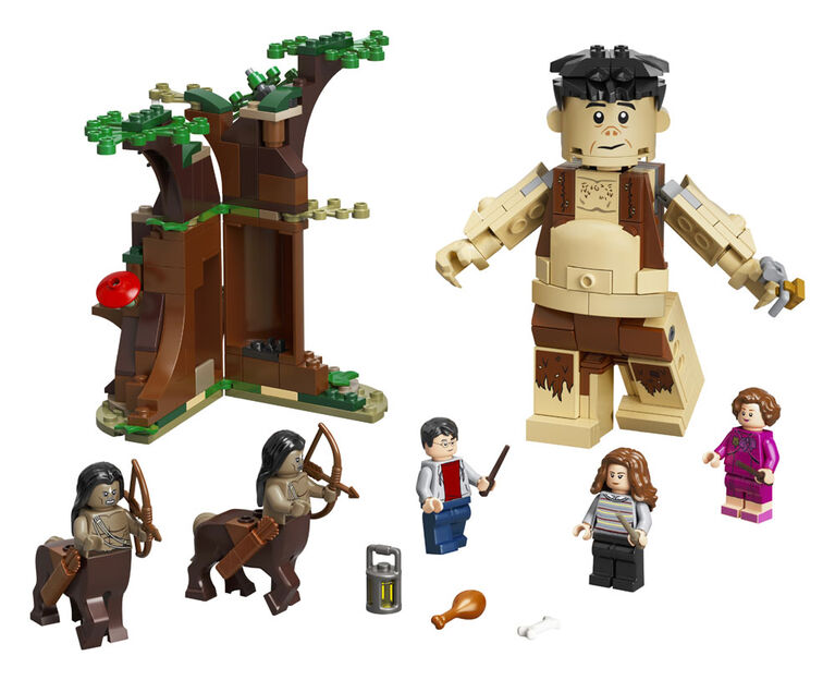 LEGO Harry Potter La Forêt interdite : la rencontre d'Ombr 75967 (253 pièces)