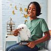 Wizarding World Harry Potter, Enchanting Hedwig Interactive Owl with Over 15 Sounds and Movements and Hogwarts Envelope